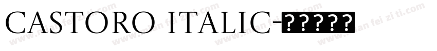 Castoro Italic字体转换